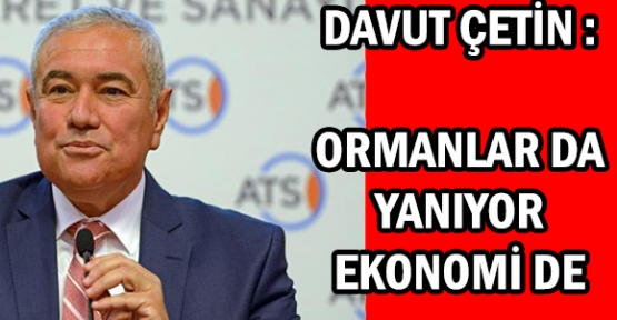 Davut Çetin: Ormanlar da yanıyor ekonomi de