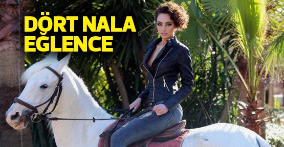 Dört nala eğlence