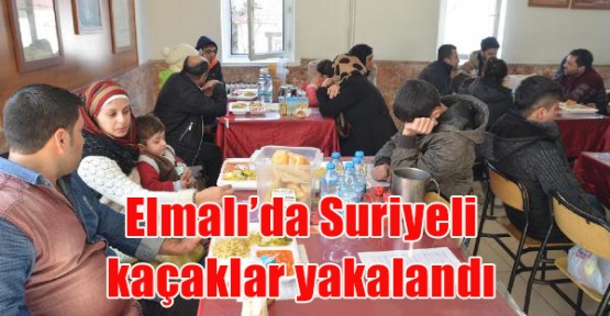 Elmalı'da 31 Suriyeli yakalandı