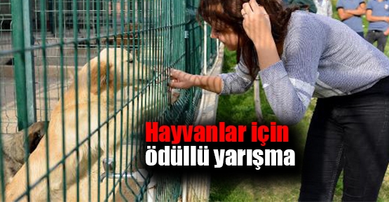 Hayvanlar için ödüllü yarışma