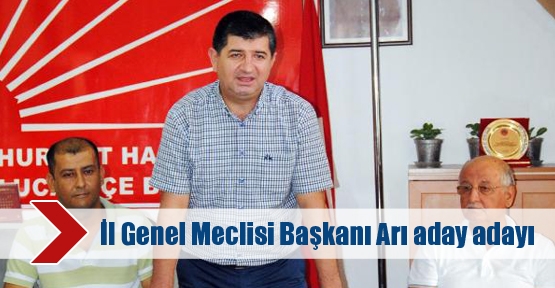 İl Genel Meclisi Başkanı Arı aday adayı