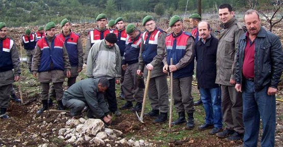 JANDARMA HATIRA ORMANI OLUŞTURDU