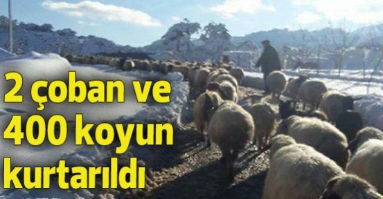 Karda mahsur kalan 2 çoban ve 400 koyun kurtarıldı