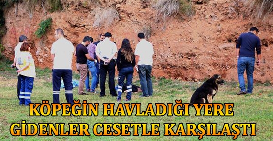 Köpeğin havladığı yere gidenler cesetle karşılaştı