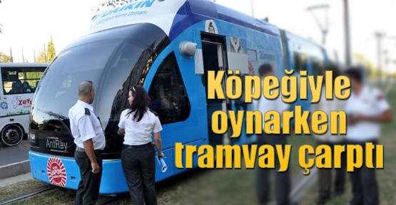 Köpeğiyle oynarken tramvay çarptı