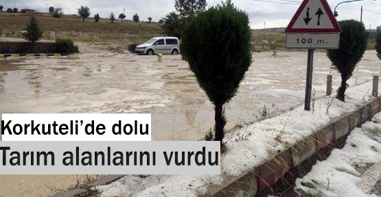 Korkuteli'de dolu tarım alanlarını vurdu