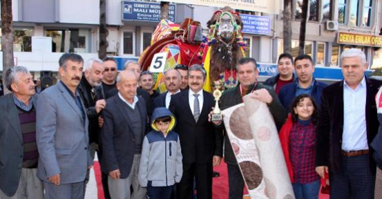 Kumluca'da süslü deve yarışması