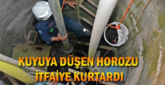 Kuyuya düşen horozu itfaiye kurtardı