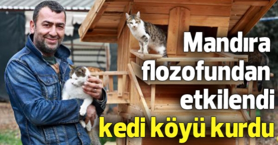 'Mandıra Filozofu'dan etkilendi, kedi köyü kurdu