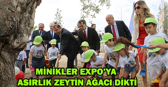 Minikler EXPO 2016’ya asırlık zeytin dikti