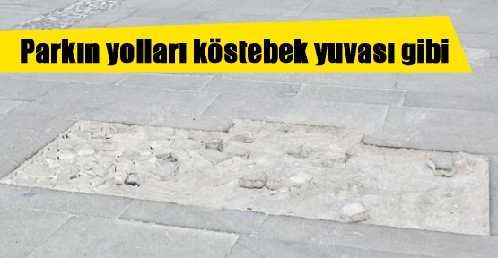 Parkın yolları köstebek yuvası gibi