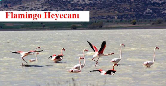 Patika Doğa Grubu ile...