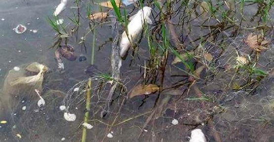 Rafting cenneti Köprüçay'a balık ölümleri nedeniyle girmek yasaklandı