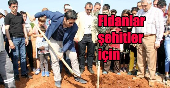 Şehitler için fidan diktiler     