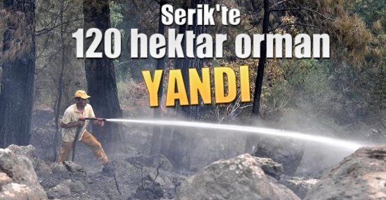 Serik'te 120 hektar orman YANDI