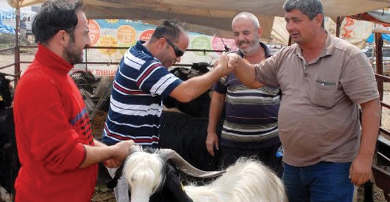 Serik'te kurban pazarı hareketlendi