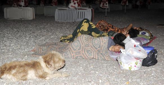 Sıcaktan bunalan yorgan döşek sahilde yattı