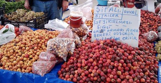 Şifa niyetine geyik elması