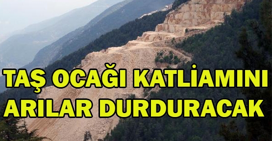 Taş ocağı katliamını arılar durduracak