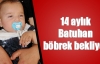 14 aylık Batuhan böbrek bekliyor