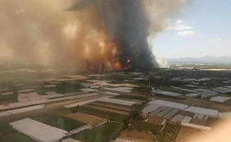 Antalya Aksu'da orman yangını