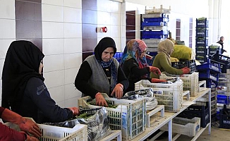 Antalya Toptancı Hali'nde rekor işlem