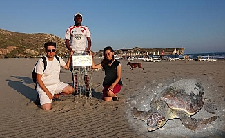 Patara Plajı'nda caretta yuvaları korumaya alındı