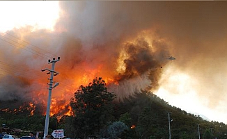 Türkiye'nin ciğerleri, ihmal ve faili meçhul kurbanı