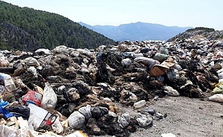 Gündoğmuş'ta kurban derileri çöpe atıldı