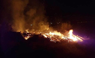 Manavgat'ta orman yangını