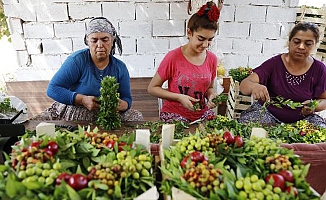 Artık uyuşturucuyla değil, emektar kadınlarıyla anılacak