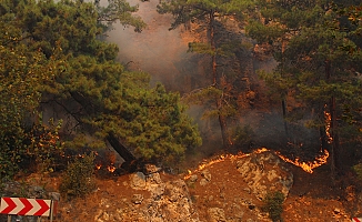 Kumluca’da başlayan yangın, Adrasan’a yayıldı