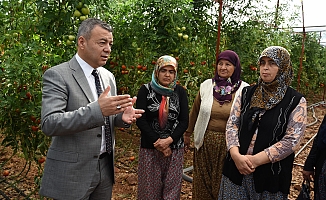  Antalya'da İyi Tarım Uygulama projesine destek 