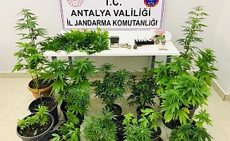 Manavgat'ta uyuşturucu operasyonu