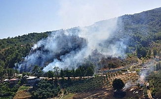 Antalya'da orman yangını