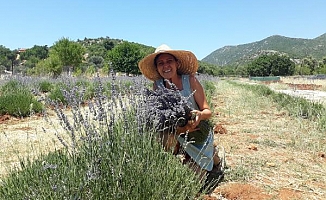 Kaş lavanta kokacak