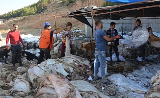 THK kurban hazırlıklarını tamamladı