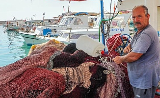 'Balon balığı' balıkçıların kabusu oldu