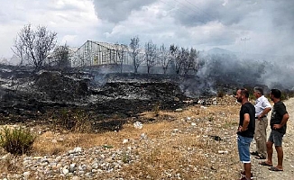 Cam sera ve ağaçlar yandı