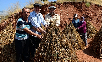 70 YIL SONRA YENİDEN