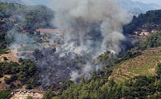 Antalya'da orman yangını