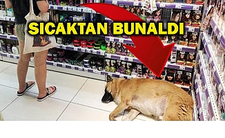 KENDİNİ KLİMALI MAĞAZAYA ATTI