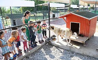 Köpeğin kalp atışını dinlediler