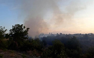 Manavgat'ta kırsal alanda yangın
