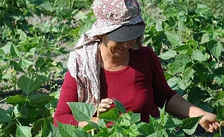 Kadın çiftçiler akademili olacak