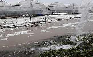 Kaş'ta dolu ve sağanak, seralarda zarara yol açtı