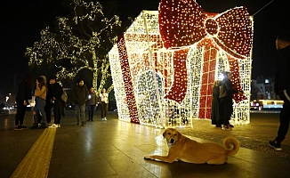 Manavgat'ın caddelerinde yeni yıl ışıltısı