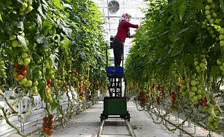 'Sebze meyvedeki fahiş fiyatın nedeni serbest piyasa'