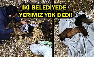 Ağzı bağlı çuvaldan beş yavru çıktı!