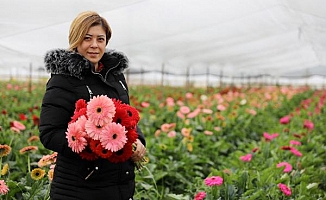 Avrupalı sevgililere 60 milyon dal çiçek gönderildi